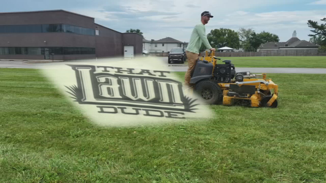 that lawn dude 2